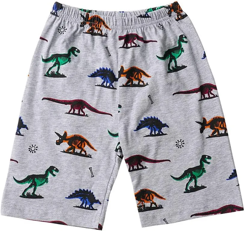 Little Hand Toddler Boys Pajamas Cotton Summer Pjs for Boy Jammies Dinosaur Train Sleepwear Short Sets